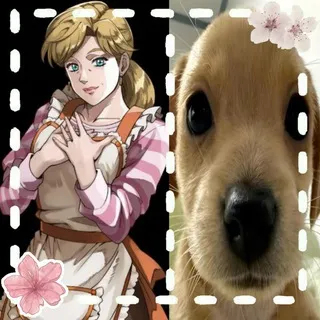 ɱ℘ ƈơŋʄɛʂʂıơŋ ⋆˙