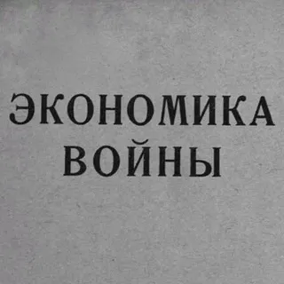 Мобилизационная экономика