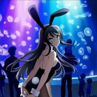 Rascal Does Not Dream Of Bunny Girl Senpai : Seishun Buta Yarou wa Bunny Girl Senpai no Yume wo Minai