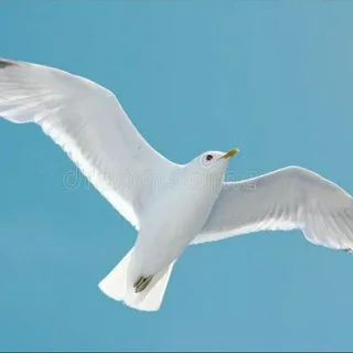 Allevatori, Agricoltori, Pescatori e Consumatori uniti contro la dittatura sanitaria