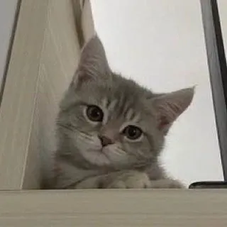 БратишкаНаказывает!