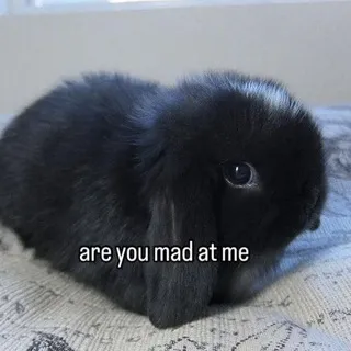 [ᜤẞᠻᜨᝨ] sᴛᴀɴ's ʙʟᴏɢ