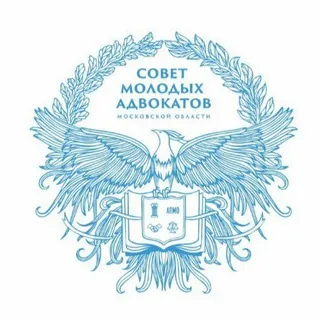 Молодежная адвокатура Подмосковья