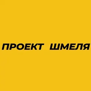 Проект Шмеля - Катя Конасова ✔