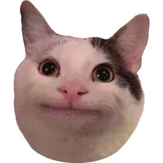 Джаред 🤫