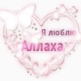 адаптер скарадурин дейли
