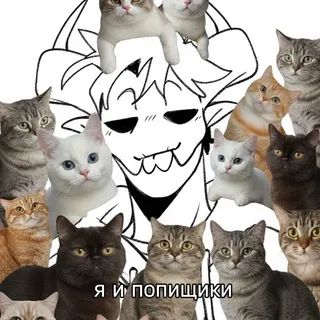 катзик 🍔