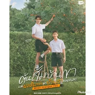 🐦‍🔥 When Oranges Fall (2026) 🐦‍🔥