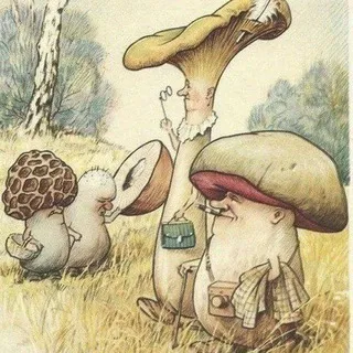 🌲🍄🌳PILZFREUNDE🌳🍄🌲