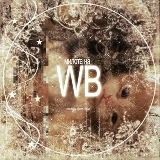 Милота на WB | ksux_animations