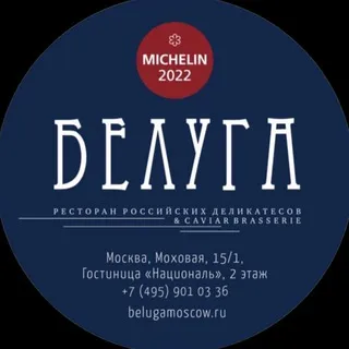 БЕЛУГА