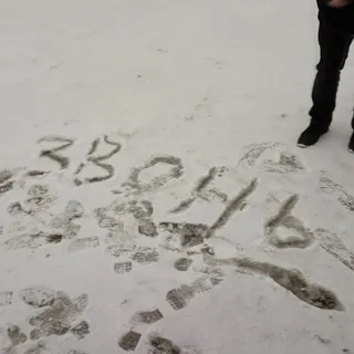 ЗВОНЬ