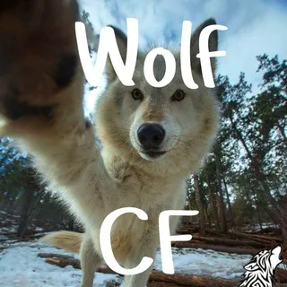 🐺⛰️ꅐꄲ꒒ꊰ ꉔꄲꋊꊰꏂꇙꇙ꒐ꄲꋊ🐺🏞️ | Wolf Confession + Daily