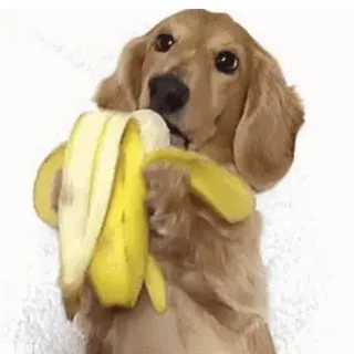 отрежь себе все руки