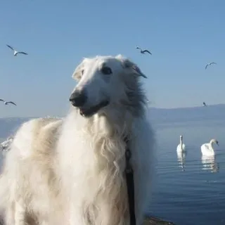 Уголок Винечки!