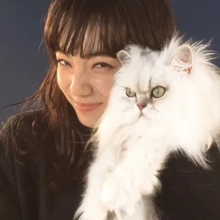 вп и реклама кимм