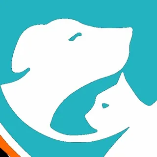 Приют для собак 🐶 Зоопансионат Альма 🏡 Воронеж