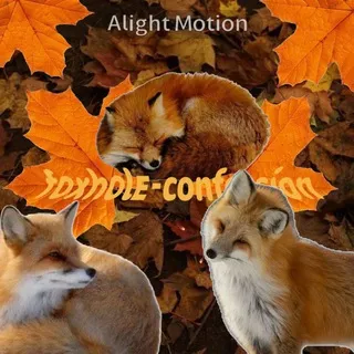 [НАБОР В АДМИНЫ]-fᴏxhᴏlᴇ-confession+daily-