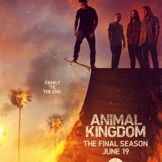 Animal Kingdom Season 1, 6