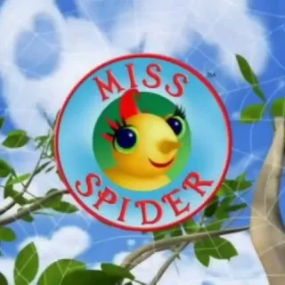 𝗔𝗺𝗶𝗴𝗼𝘀 𝗱𝗮 𝗠𝗶𝘀𝘀 𝗦𝗽𝗶𝗱𝗲𝗿