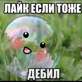 щитпосты мАксюши 1337)