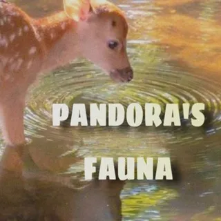 𝙋𝘼𝙉𝘿𝙊𝙍𝘼'𝙎 𝙁𝘼𝙐𝙉𝘼