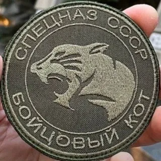 ПРОГРЕССОР