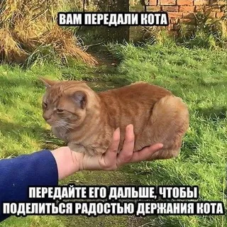 Рабочие гномы