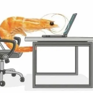 отто фотографирует