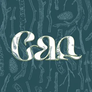 Сад