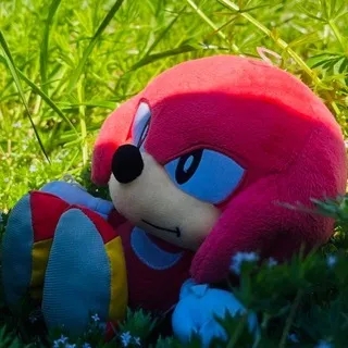 ⺡݂ 𝑯𝒐𝒓𝒊𝒛𝒐𝒏 𝒏𝒆𝒕𝒘𝒐𝒓𝒌 ^᪲ ˙୨