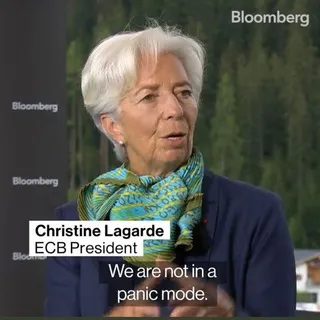 Minsky Moment Capital 🧩