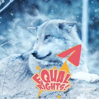 Wolf Animal Rights on Telegram by GRT : No death penalty to wolves - death sentence instead to criminals for animal torture!
