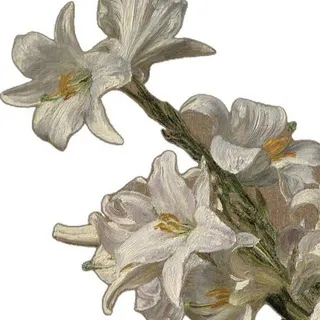 Kartoplina