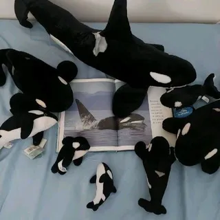 🫍 | ORCAS CONFESSION