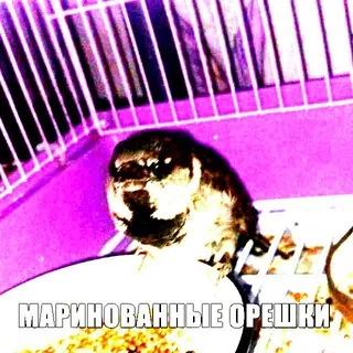 Щп пост д#билка