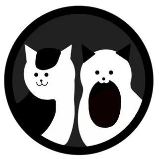 40 кошек