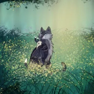 ౨ৎ Ꭲᴀigᴀ à l’ᴀuʙᴇ.