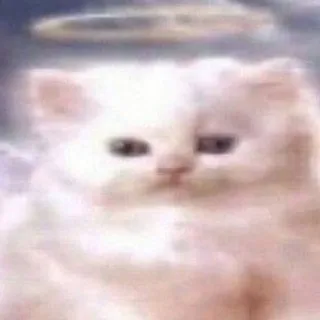 t0X1cZz!// || ⲧwⲓⲧ ⲃʏ ⲏᴇⲡуⲭᴀ