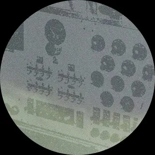Sisters with transistors