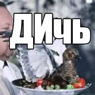 D-ch