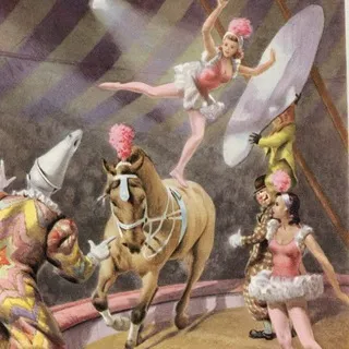 [ поиск адм. ] ⋆ ִֶָ ๋ Circus conf ! ִֶָ ๋⋆