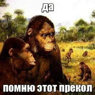 Пицца куница