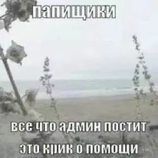 shitpost pics confession 🌈