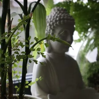 Внутренняя Япония🌱