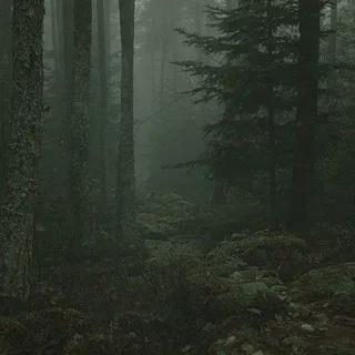Гиперфиксы Фины.