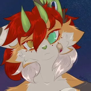 °•⌀LIRAFOX⌀•°
