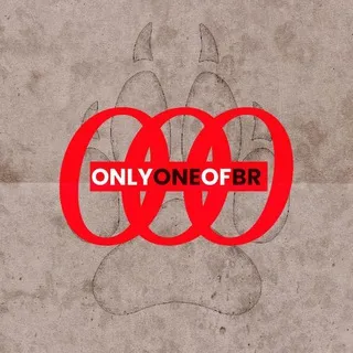 OnlyOneOf Brasil
