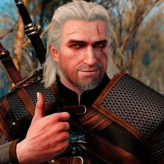 Witcher Memes