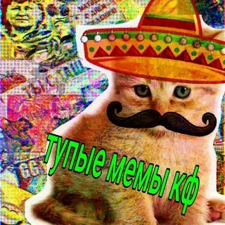 [🧠🌚] тупые мемы confession